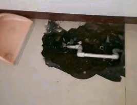 容县卫生间测漏水多少钱